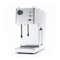 QuickMill 0963 Auto Steamer.png