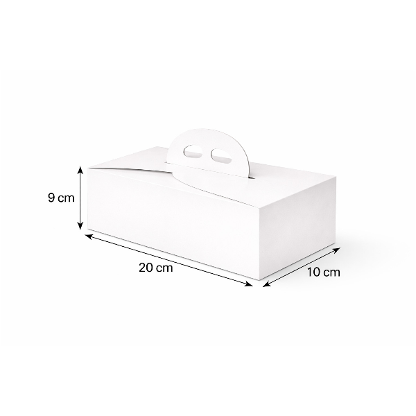 Kuchenbox mit Tragegriff 50er Set 20x10x9cm.png