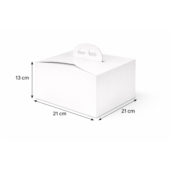 Kuchenbox mit Tragegriff 50er Set 21x21x13cm.png