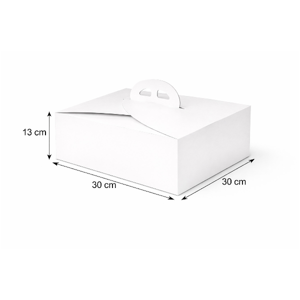 Kuchenbox mit Tragegriff 50er Set 30x30x13cm.png